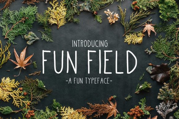 Discover Fun Field: A Versatile Handwritten Font for Branding