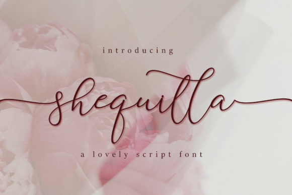 Enhance Your Brand with Shequilla: A Versatile Script Font