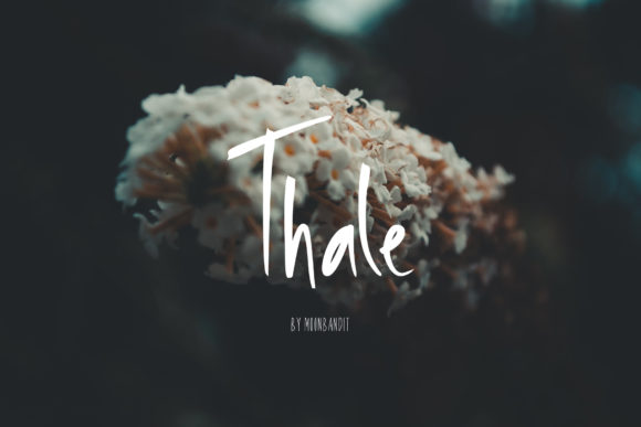 Thale: The Perfect Handwritten Font for Engaging Campaigns