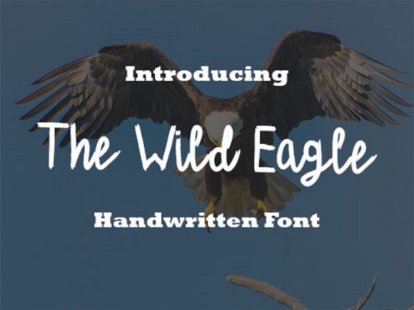 The Wild Eagle: A Handwritten Font for Creative Branding